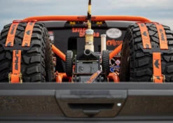 Alpine Double Eagle Tire Tie Down Strap -Auto Parts Store alpine double eagle orange 005 20495.1677081580